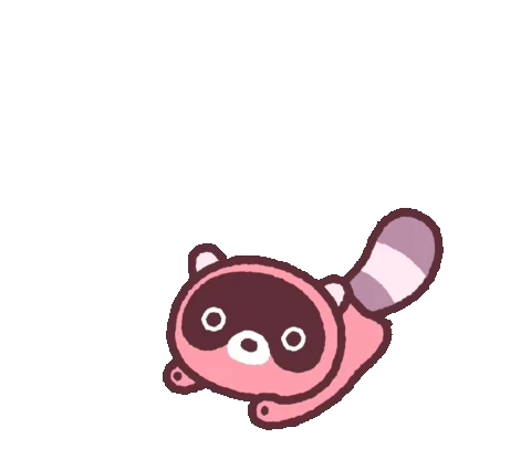 RaccoonLaptopGif