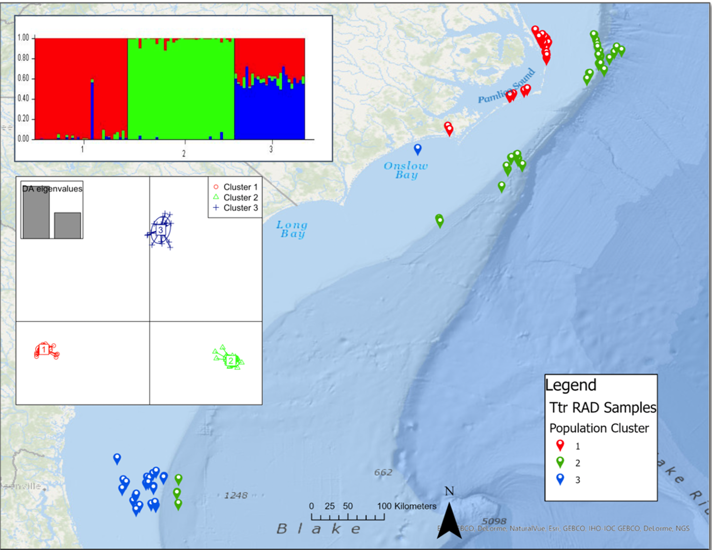 first image of your project.