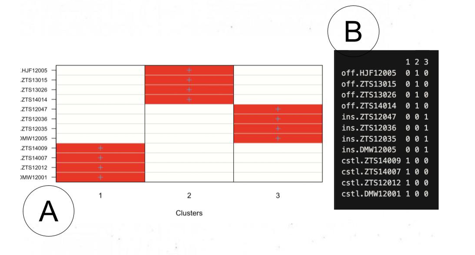first image of your project.
