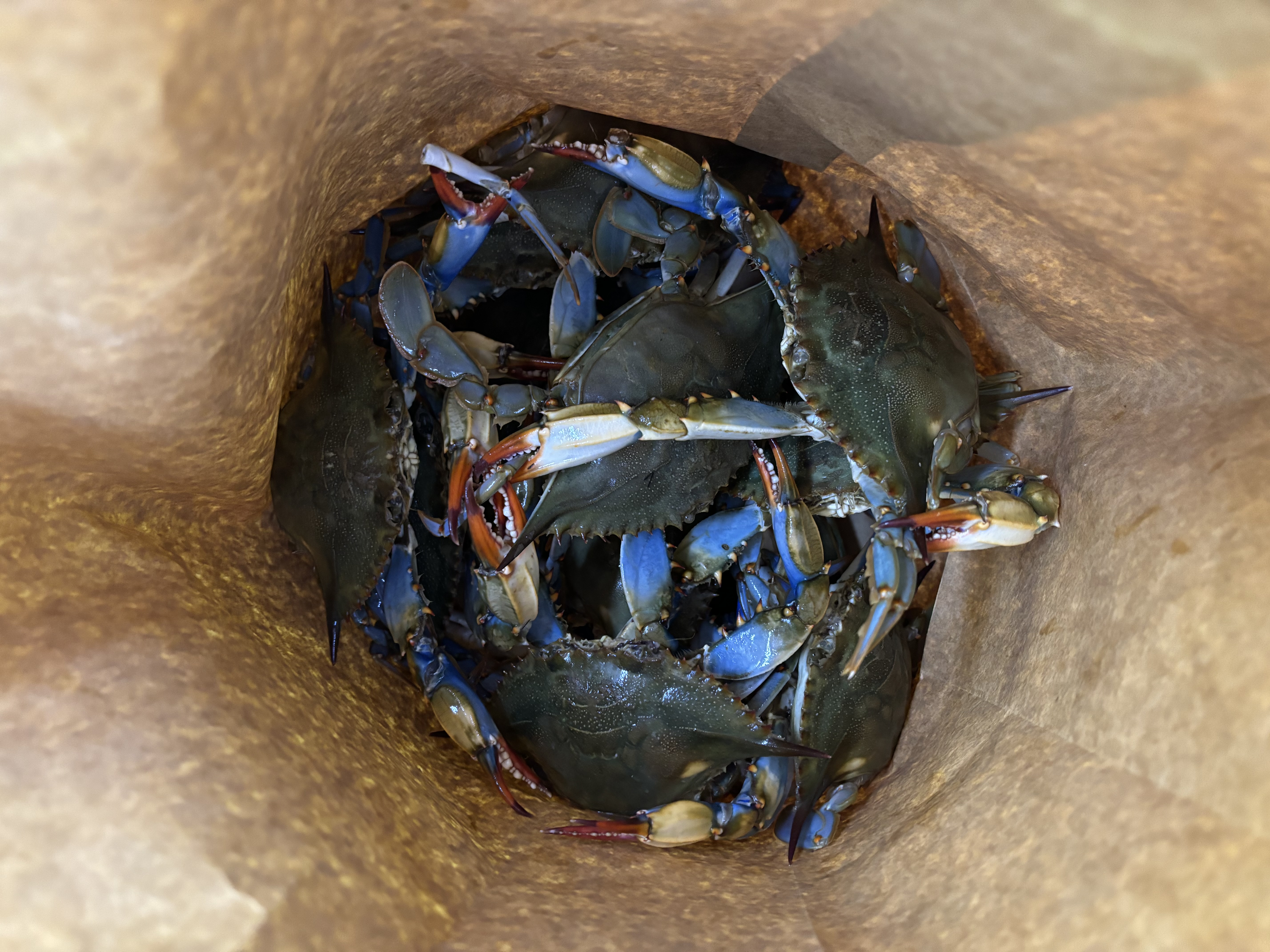 first image of your project.