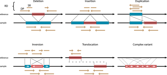 first image of your project.